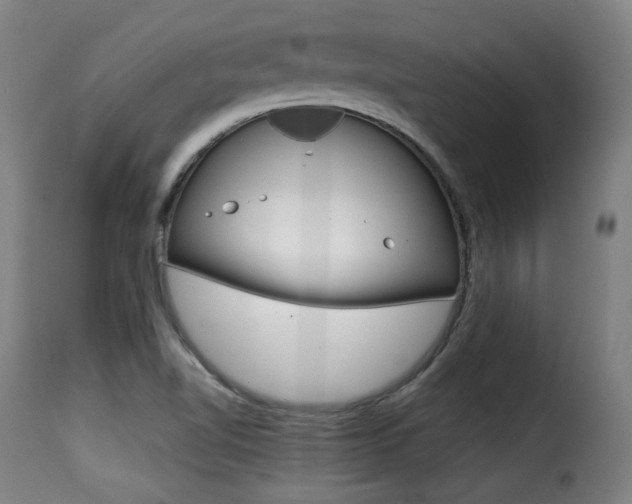 X0000116001510200911191202
