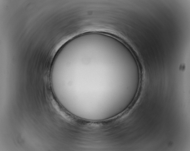X0000116001513200911191202