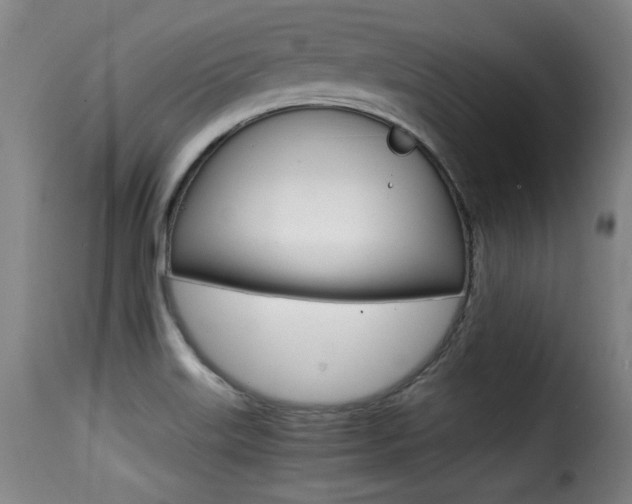 X0000116001515200911191202