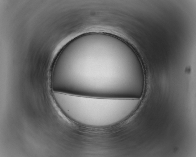 X0000116001517200911191202