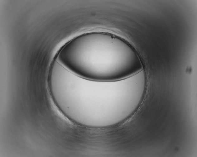X0000116001518200911191202