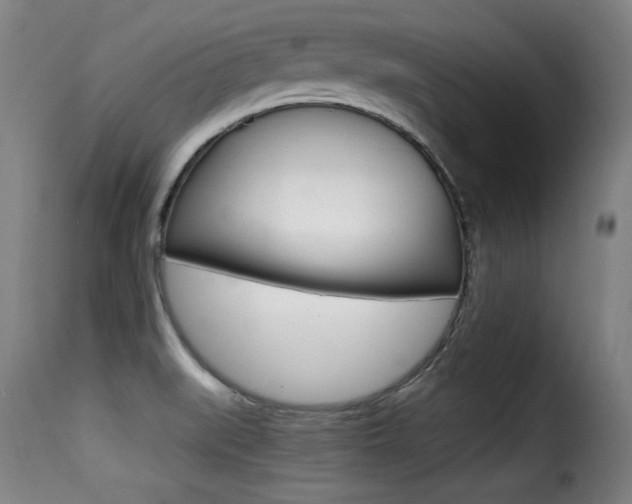 X0000116001519200911191202