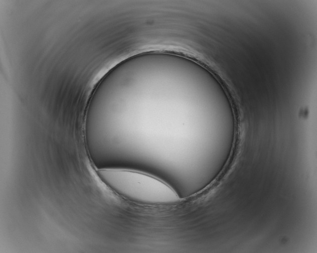 X0000116001521200911191202