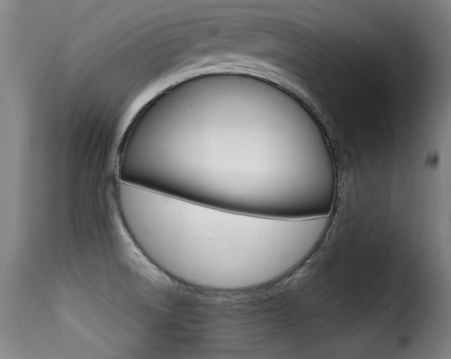 X0000116001522200911191202