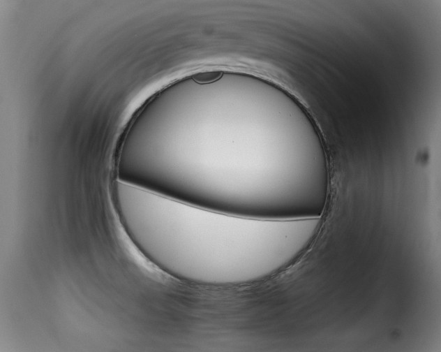X0000116001523200911191202