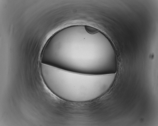 X0000116001527200911191202