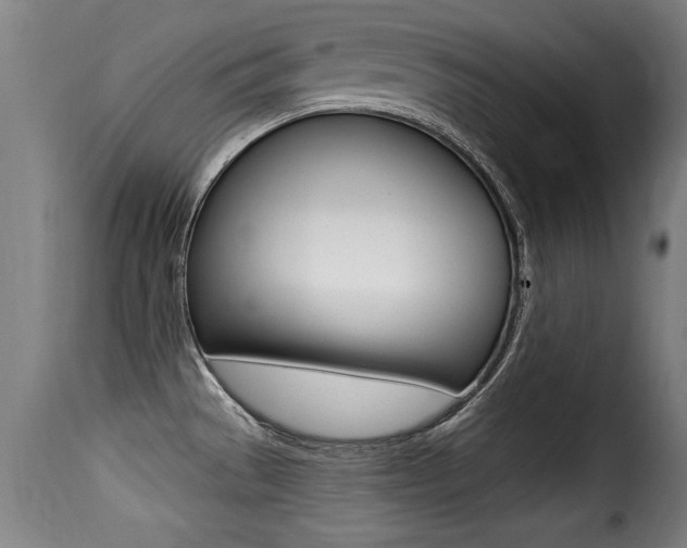 X0000116001529200911191202