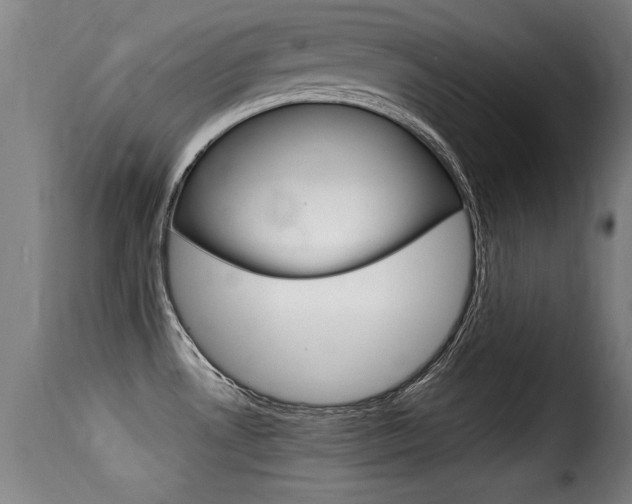 X0000116001530200911191202