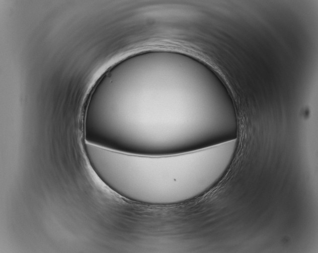 X0000116001531200911191202