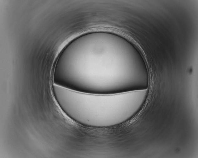 X0000116001533200911191202