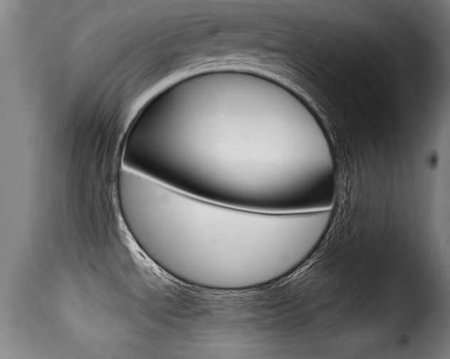 X0000116001534200911191202