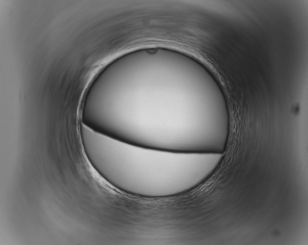 X0000116001535200911191202