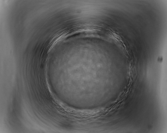 X0000116000001200911191435