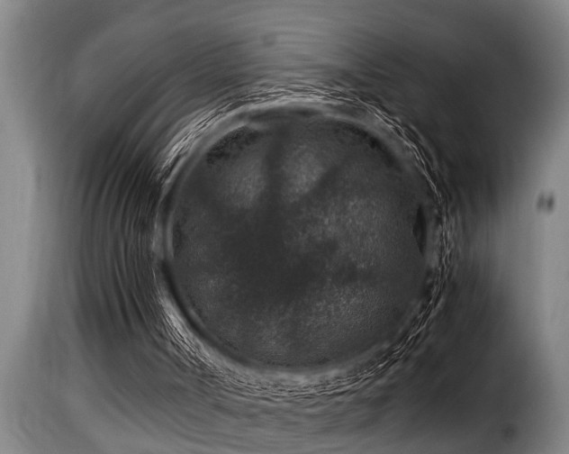 X0000116000002200911191435