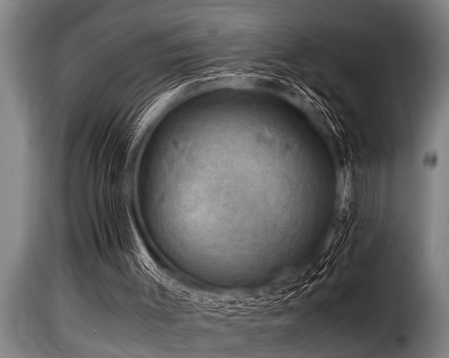 X0000116000003200911191435