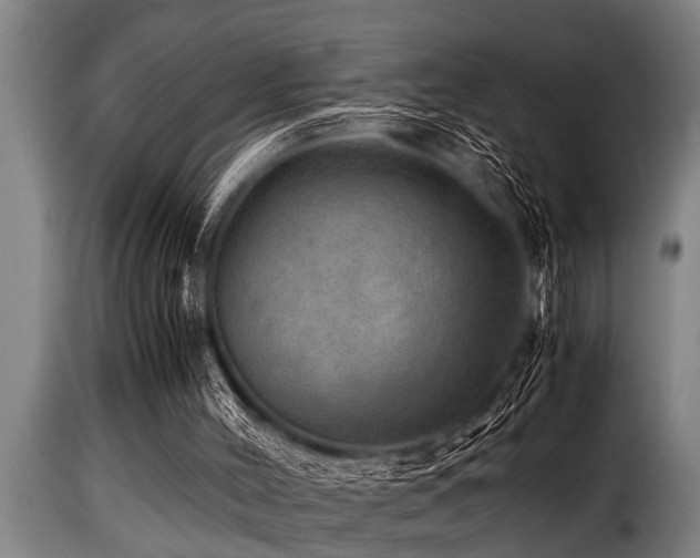 X0000116000004200911191435