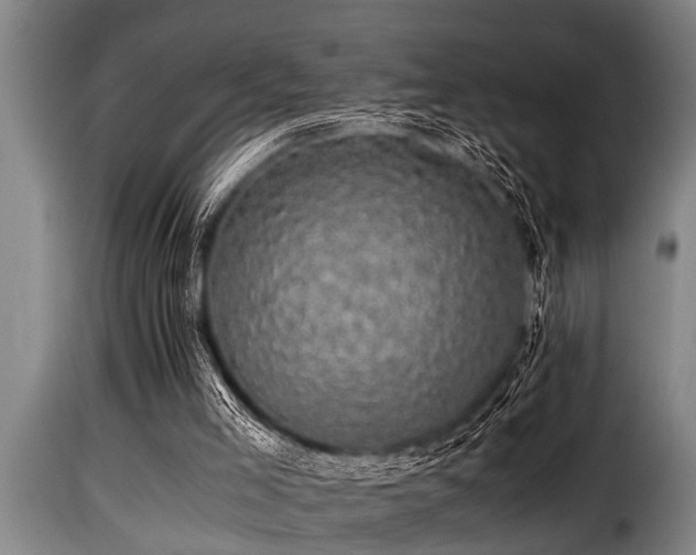 X0000116000005200911191435