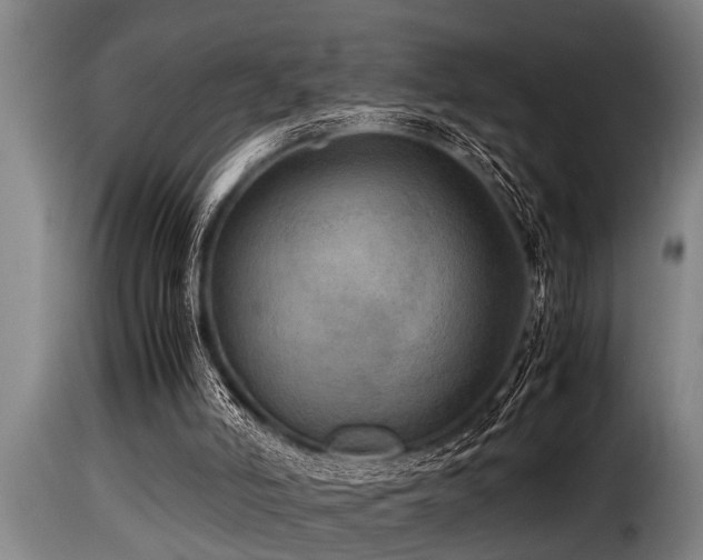 X0000116000006200911191435