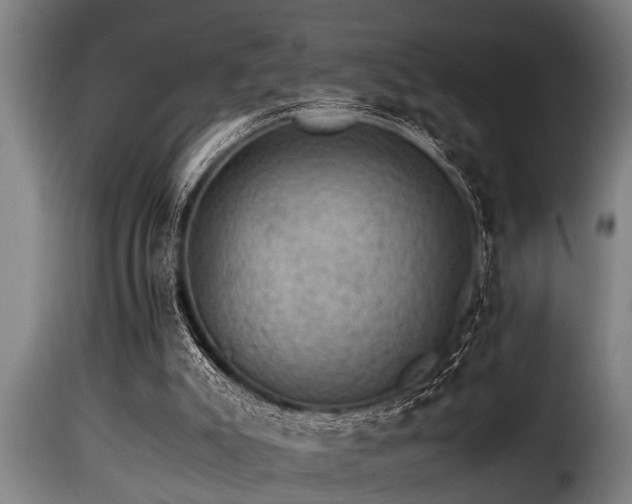 X0000116000007200911191435