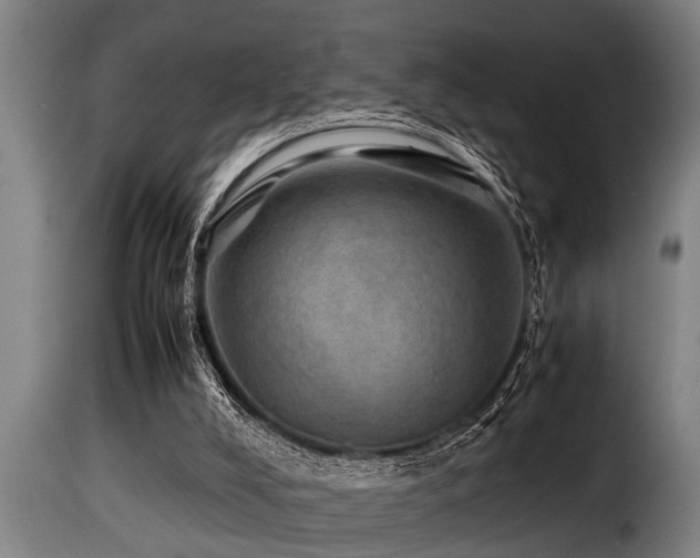 X0000116000008200911191435