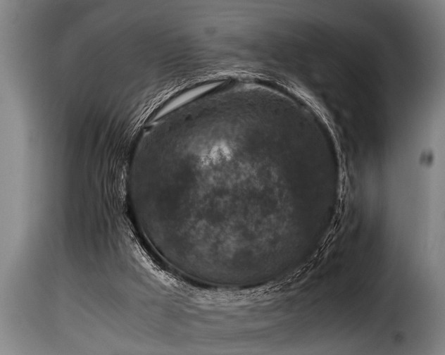 X0000116000009200911191435