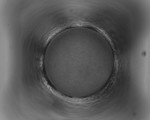 X0000116000010200911191435