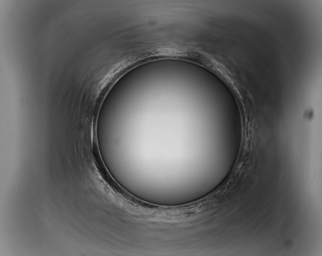 X0000116000011200911191435