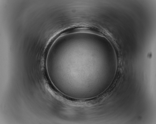 X0000116000012200911191435