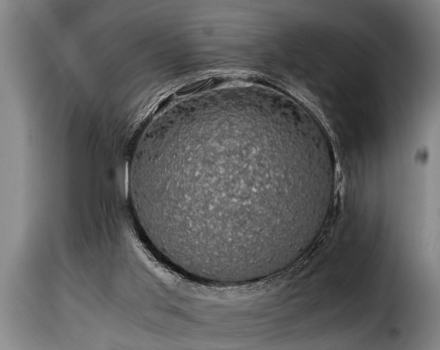 X0000116000013200911191435