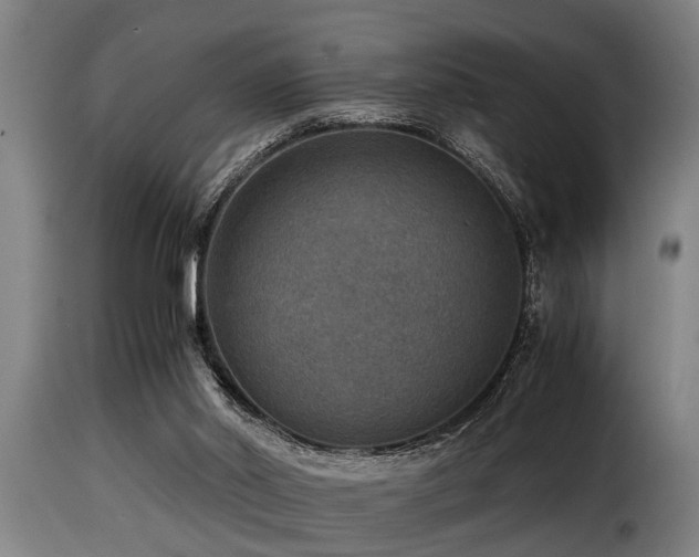 X0000116000014200911191435