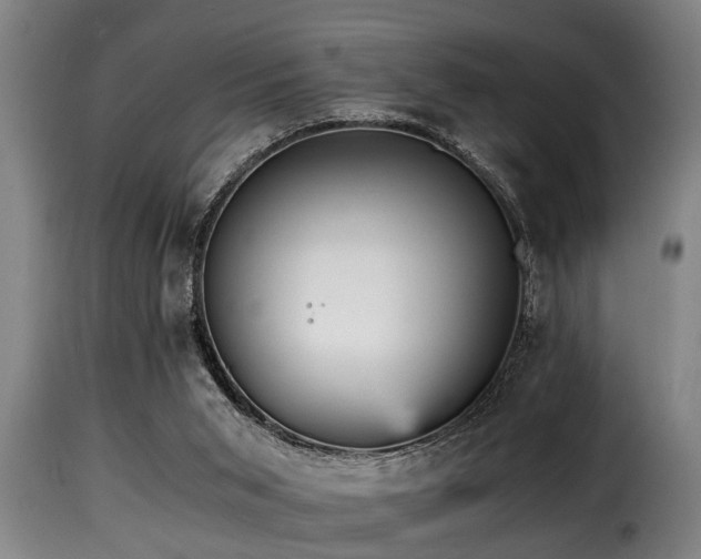 X0000116000015200911191435