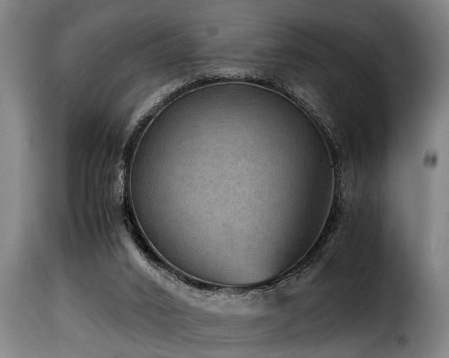 X0000116000016200911191435