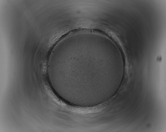 X0000116000017200911191435