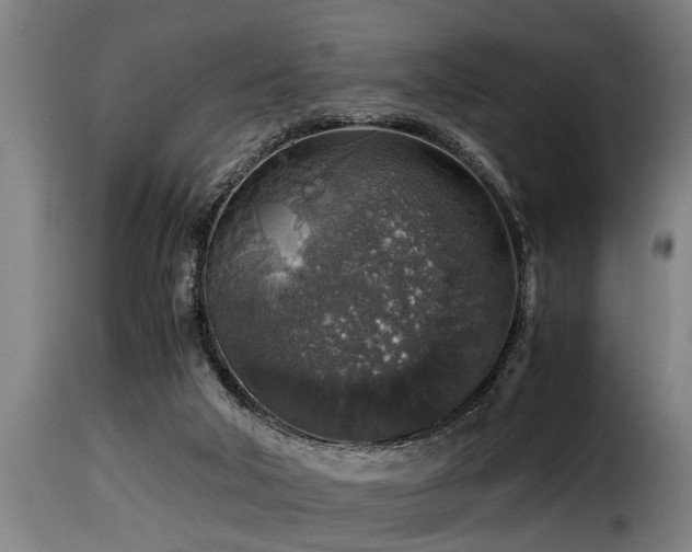 X0000116000018200911191435