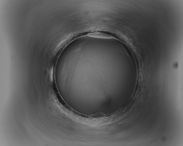 X0000116000019200911191435