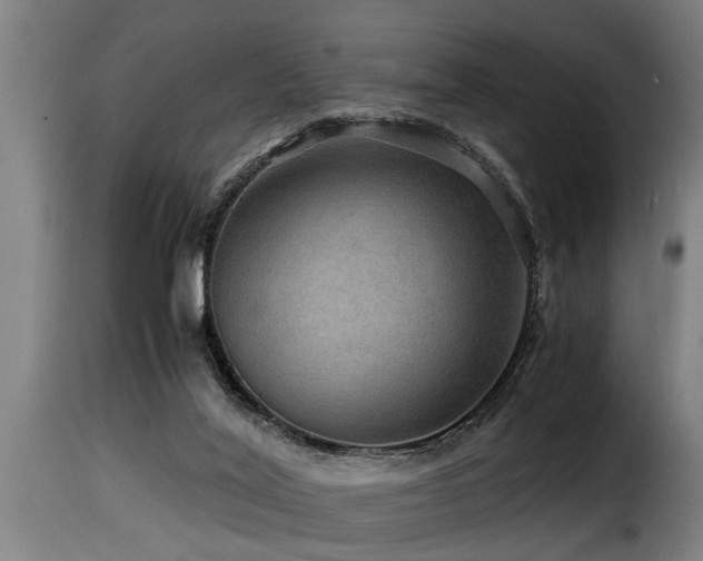 X0000116000020200911191435