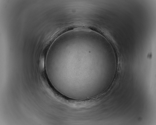 X0000116000021200911191435