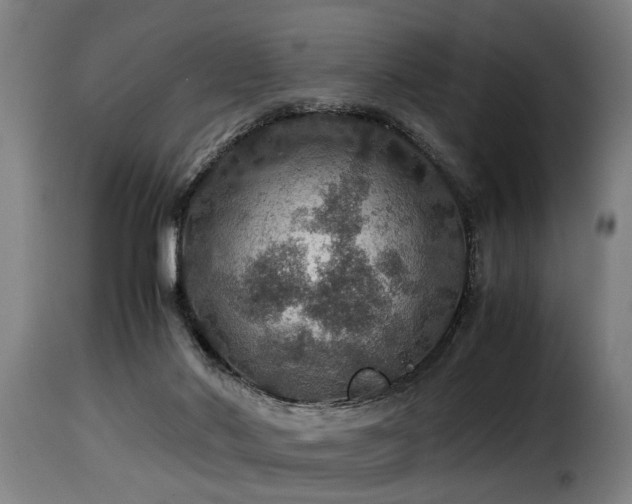 X0000116000022200911191435