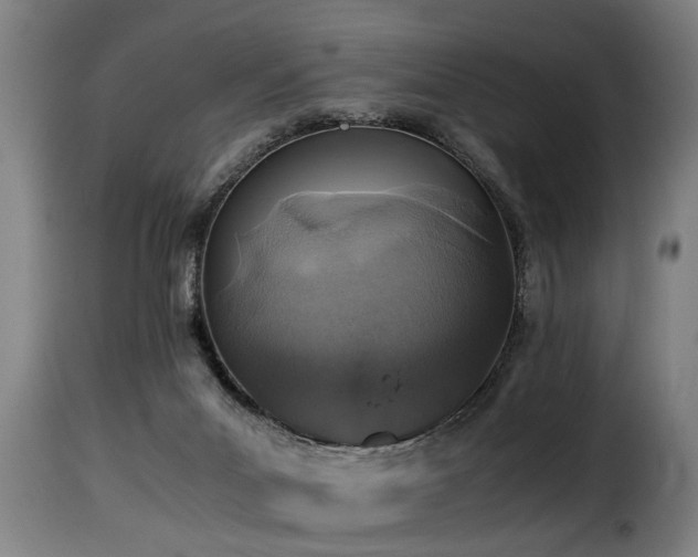 X0000116000023200911191435