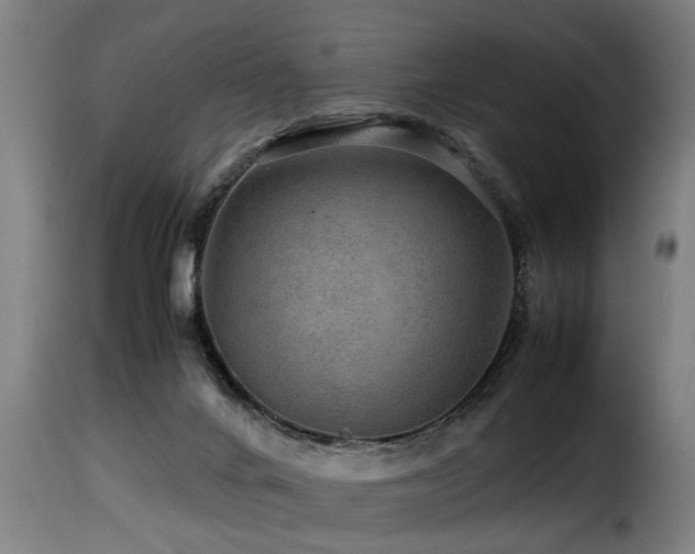 X0000116000024200911191435