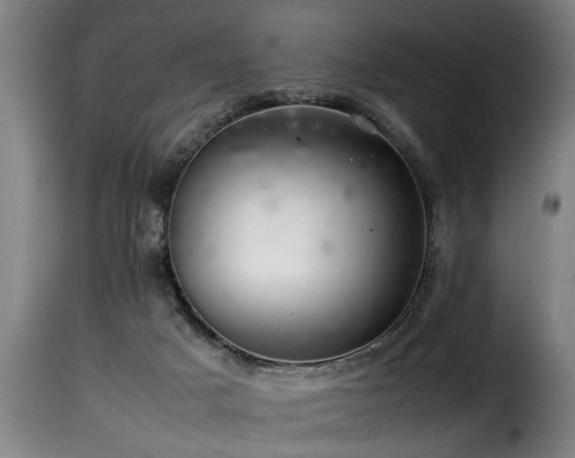 X0000116000025200911191435