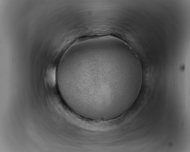 X0000116000028200911191434