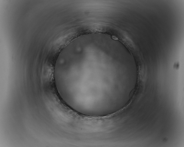 X0000116000029200911191434