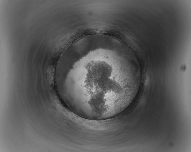 X0000116000030200911191434