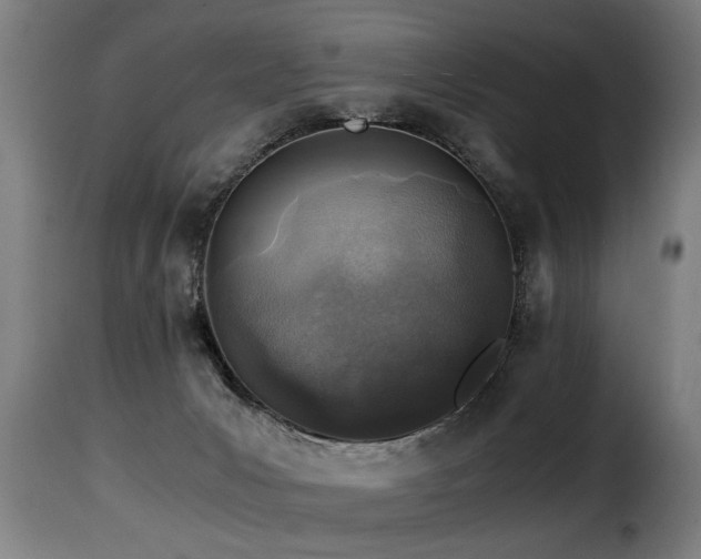 X0000116000031200911191434