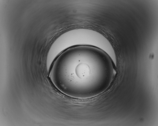 X0000116000033200911191434