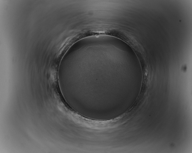 X0000116000035200911191434