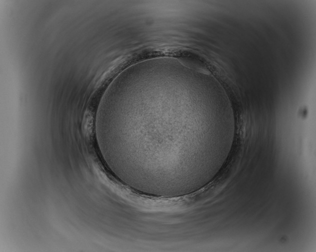 X0000116000036200911191434