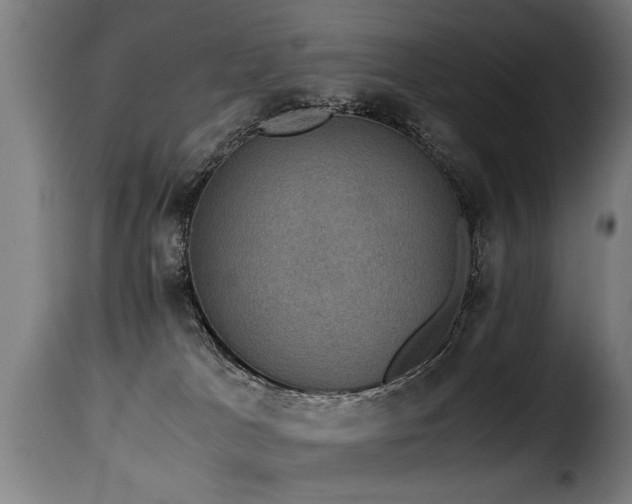 X0000116000037200911191434