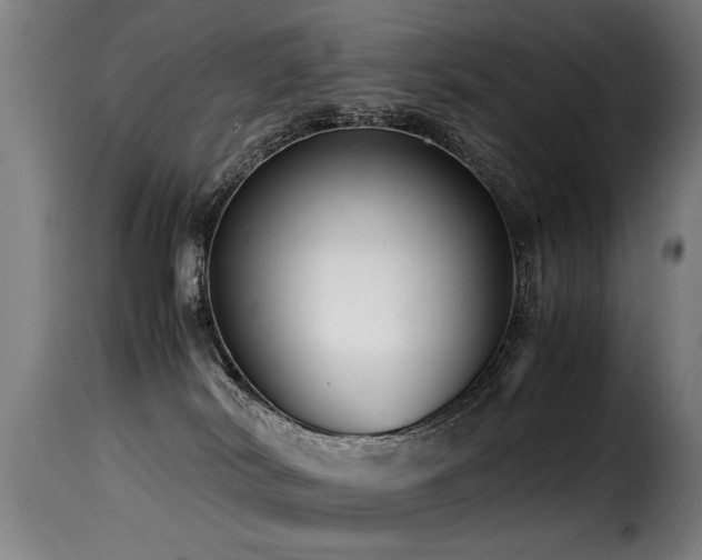 X0000116000038200911191434